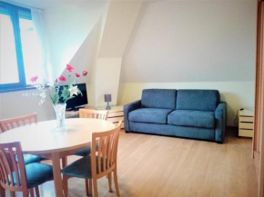T2 calme, vue ville et lac, animaux admis, parking et climatisation - FR-1-555-42